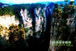 【純玩拼團(tuán)線路6】張家界、黃龍洞、天門(mén)山、天子山三晚四日游