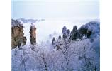 春節(jié)旅游：張家界、袁家界、天子山、寶峰湖/黃龍洞度假二晚三日游